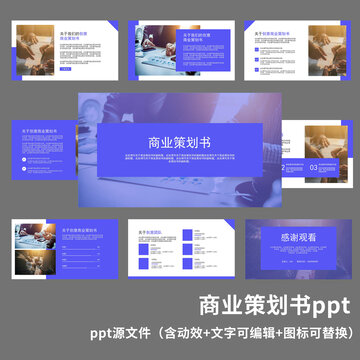 商业计划书ppt