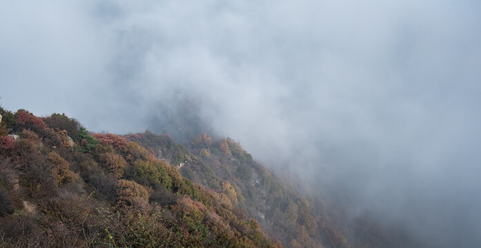 西安嘉午台秋景