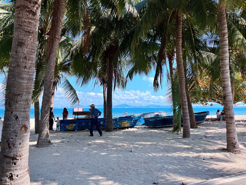 椰林海景