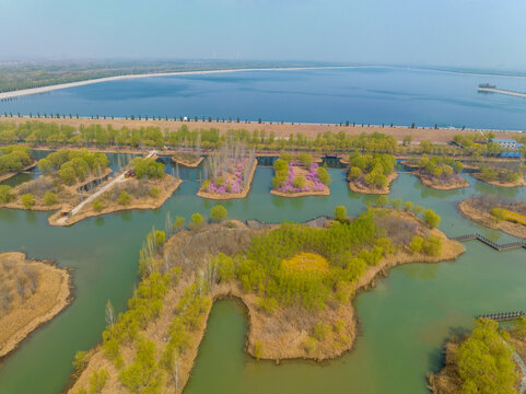 济南济西湿地