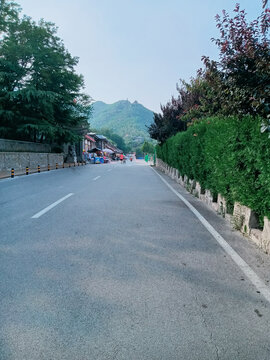 登山道