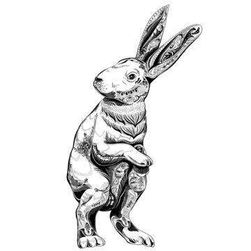兔年线性生肖插画黑白免扣素材