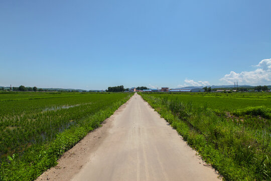 田间道