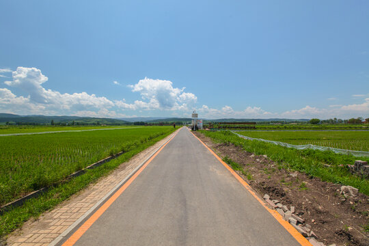 田间道