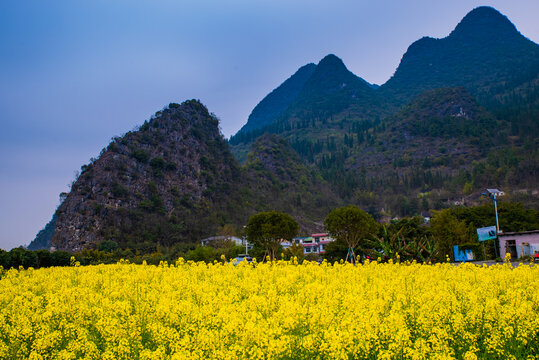 贵州万峰林景区