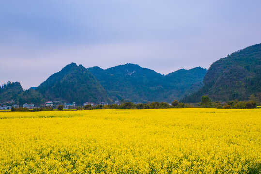 贵州万峰林景区