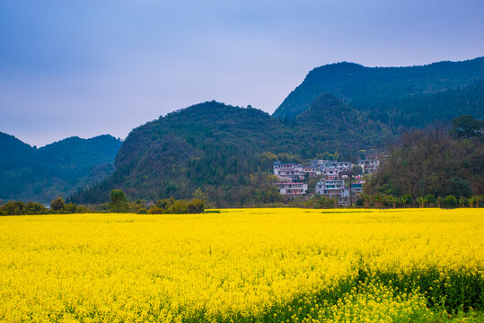 贵州万峰林景区