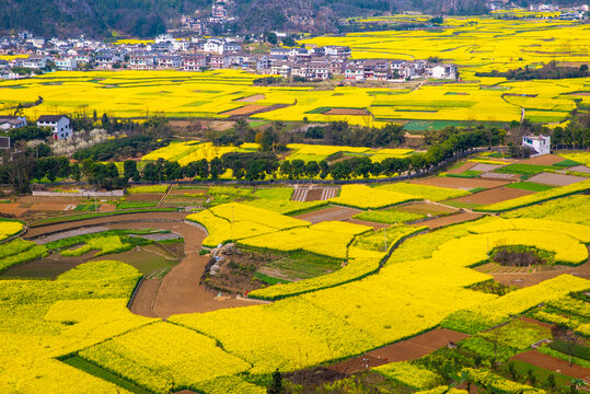 贵州万峰林风光