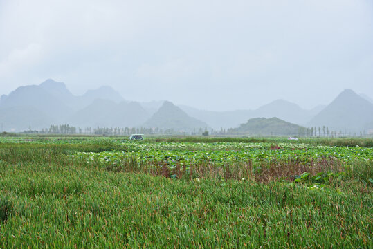 乡村风貌