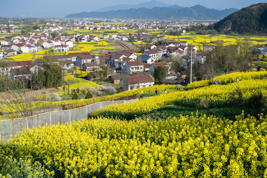 汉中油菜花海美丽乡村高铁动车