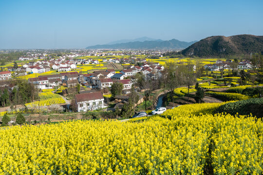 汉中油菜花海美丽乡村高铁动车