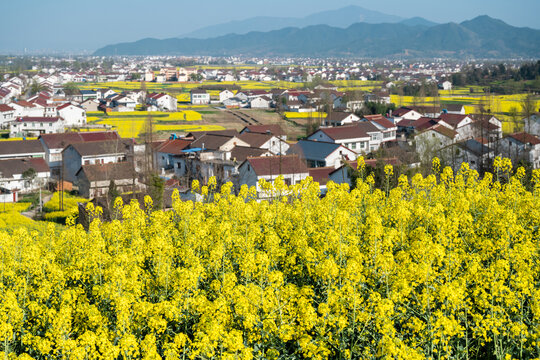 汉中油菜花海美丽乡村高铁动车