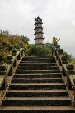 温州江心寺