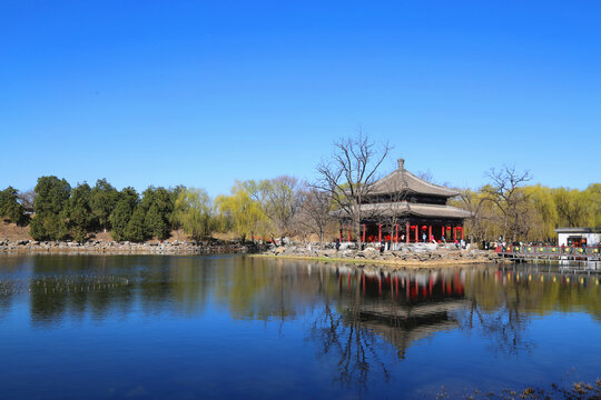 圆明园湖景