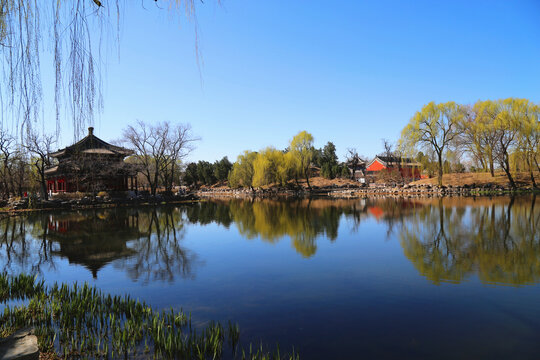 圆明园湖景