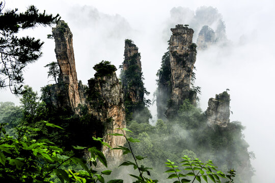 张家界旅游