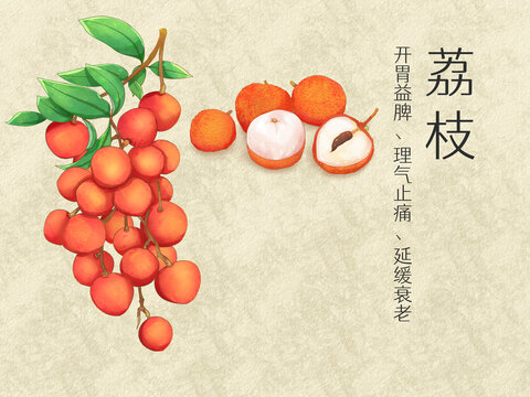 手繪水彩水果荔枝插畫