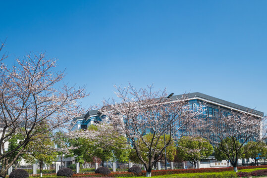 杭州师范大学体育中心