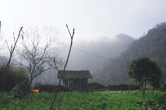 山村