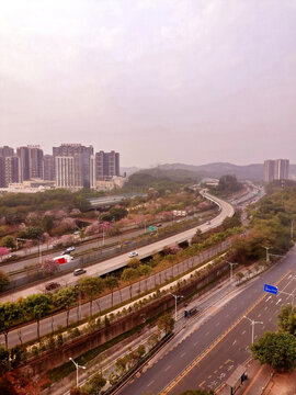 城市道路风景