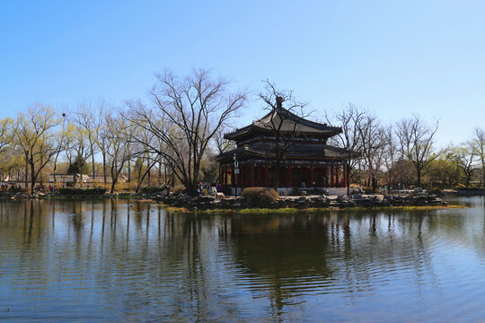 圆明园湖景