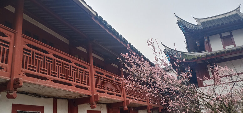 林阳寺梅园