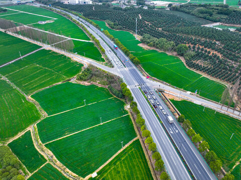 绿色的乡村田野与公路航拍