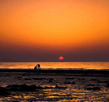 夕阳海边赶海