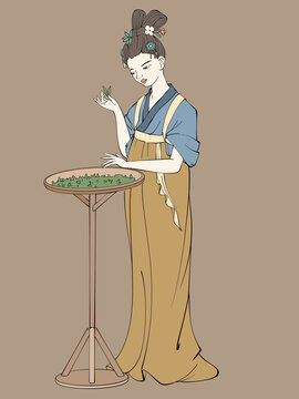 曬茶