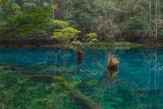 贵州荔波大小七孔景区