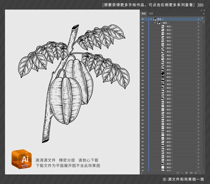樹枝上的楊桃