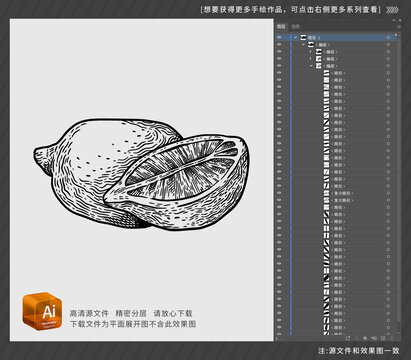 檸檬插畫