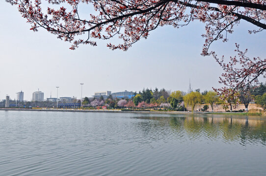 枣庄凤鸣湖