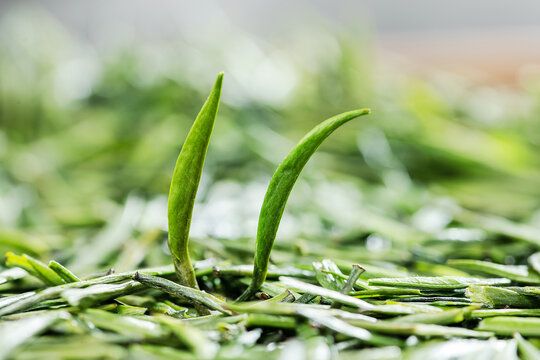 湄潭翠芽绿茶干茶