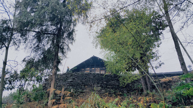 乡村景象