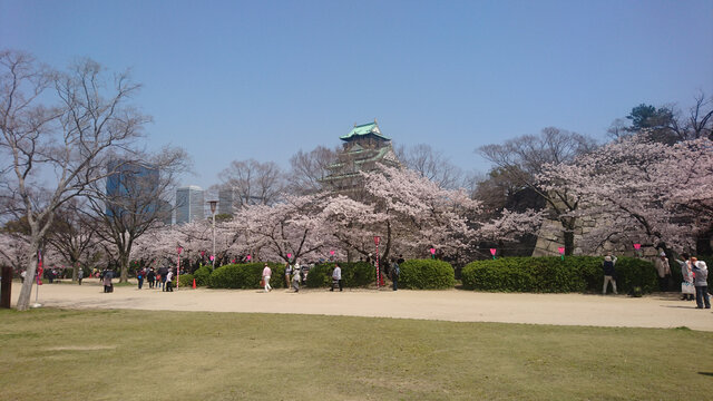 日本大阪城公园