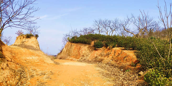 黄土山岗