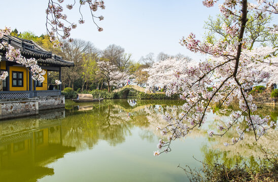 园林风景