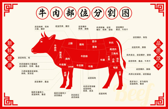 牛肉分割图