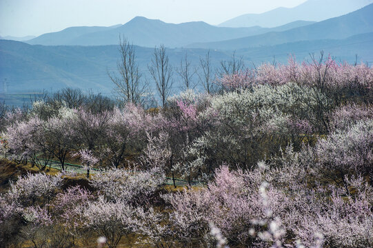 美丽乡村