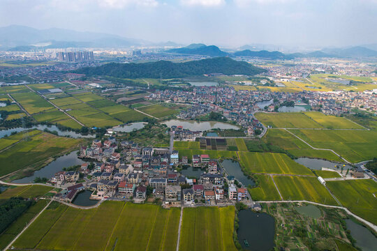 萧山临浦未来大地美丽乡村