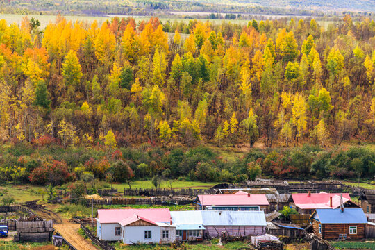 山村秋天森林