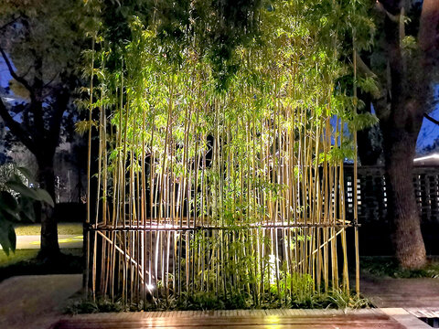 竹子景观夜景
