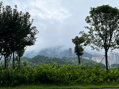 雨中漫步