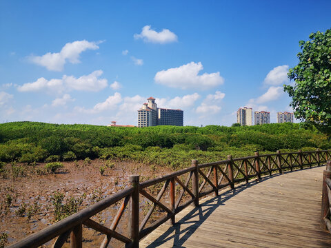 海南红树湾湿地公园