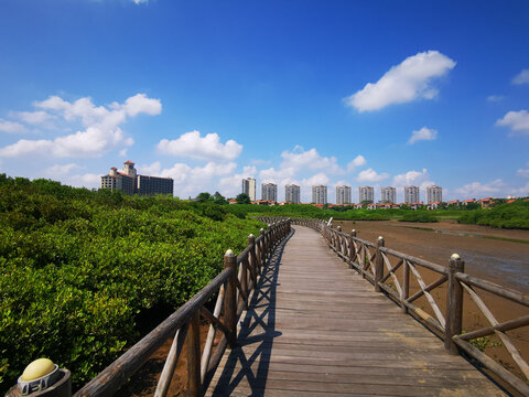 海南红树湾湿地公园