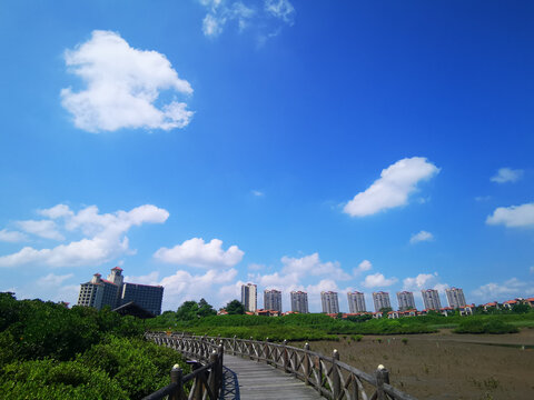 海南红树湾湿地公园