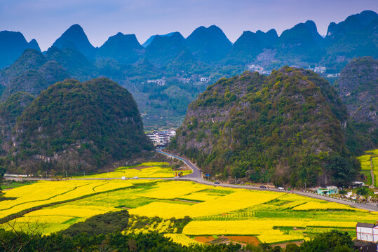 贵州万峰林油菜花