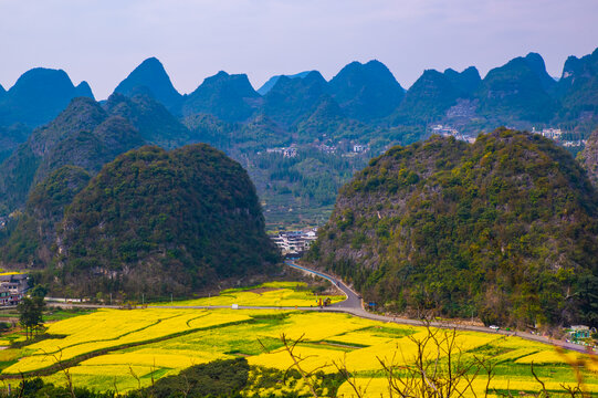 春天田野