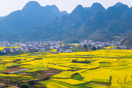 春天田野